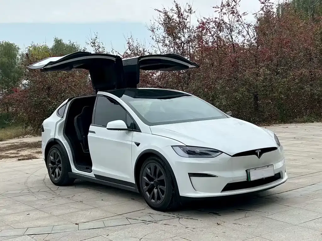 Tesla Model X 2023 из CN, фото 3