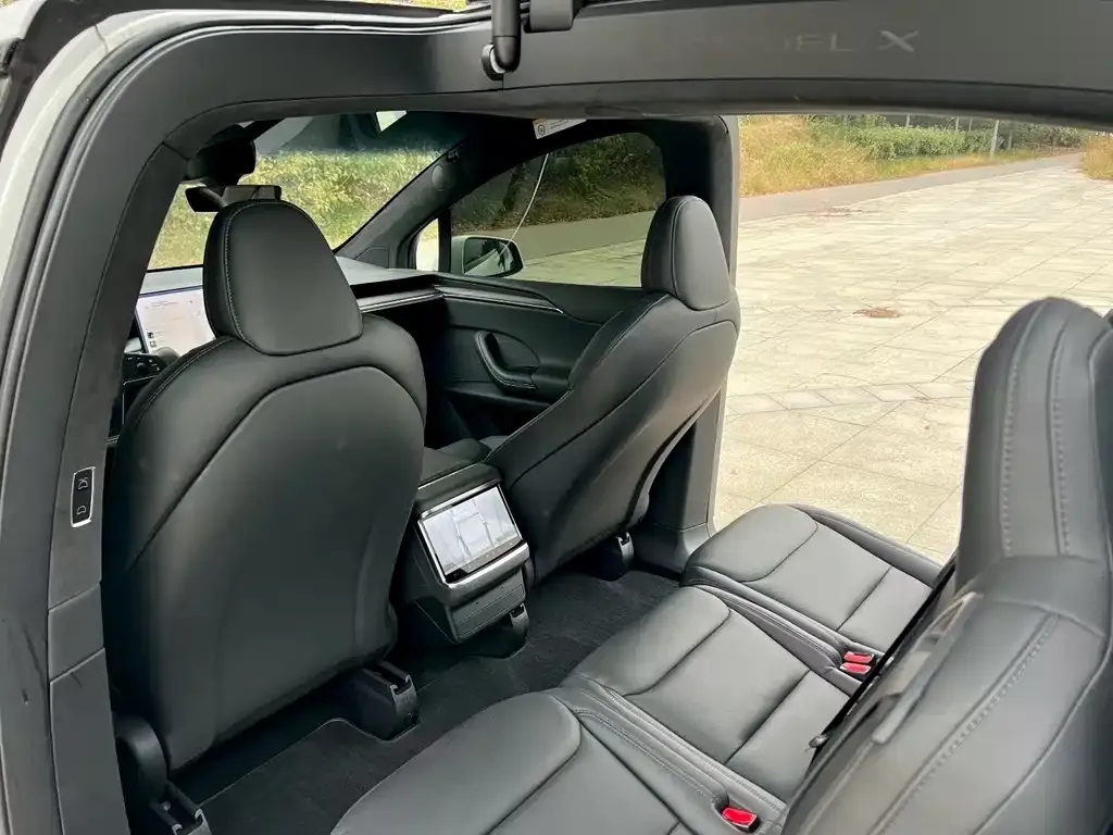 Tesla Model X 2023 из CN, фото 4