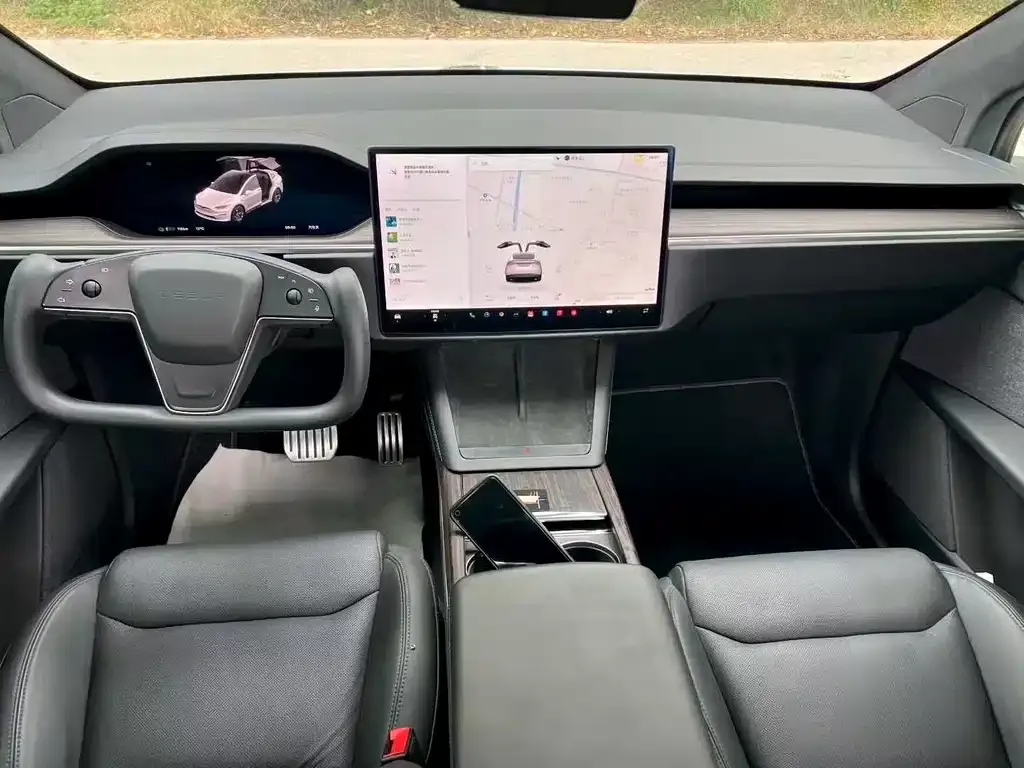Tesla Model X 2023 из CN, фото 5