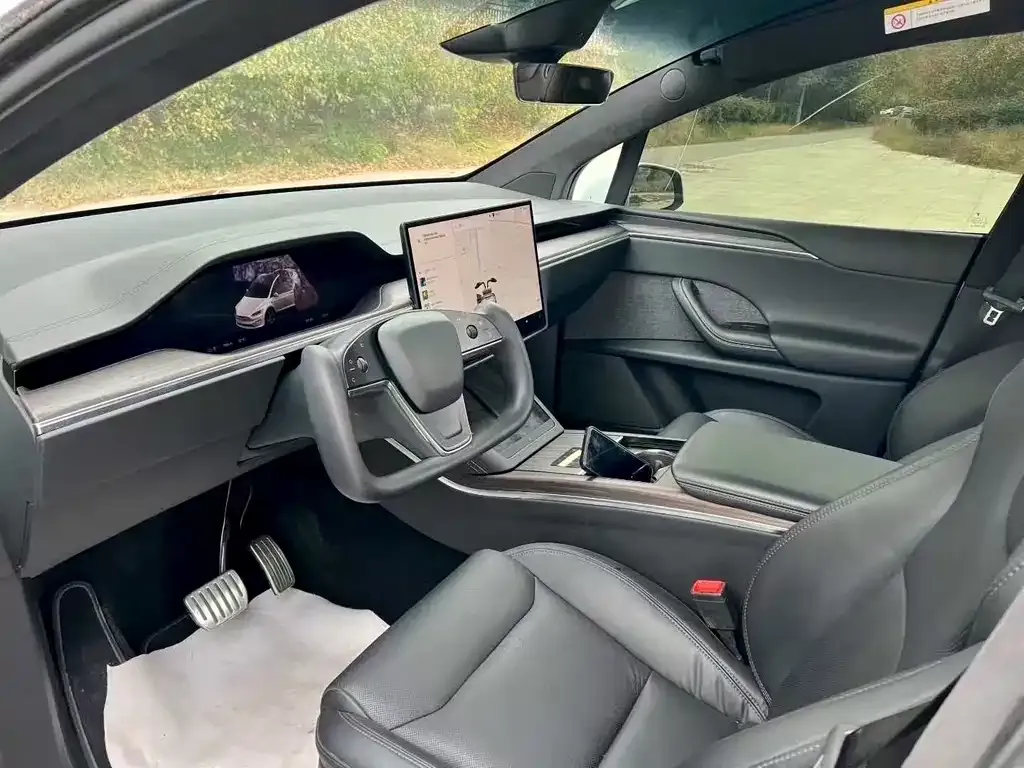 Tesla Model X 2023 из CN, фото 6