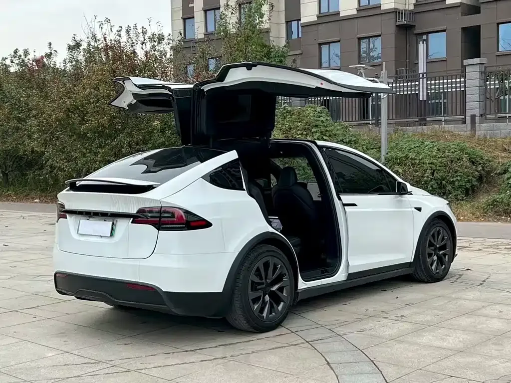 Tesla Model X 2023 из CN, фото 7