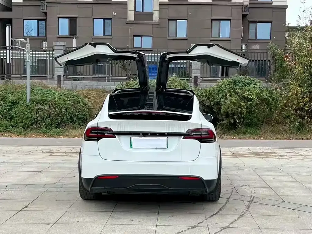 Tesla Model X 2023 из CN, фото 8