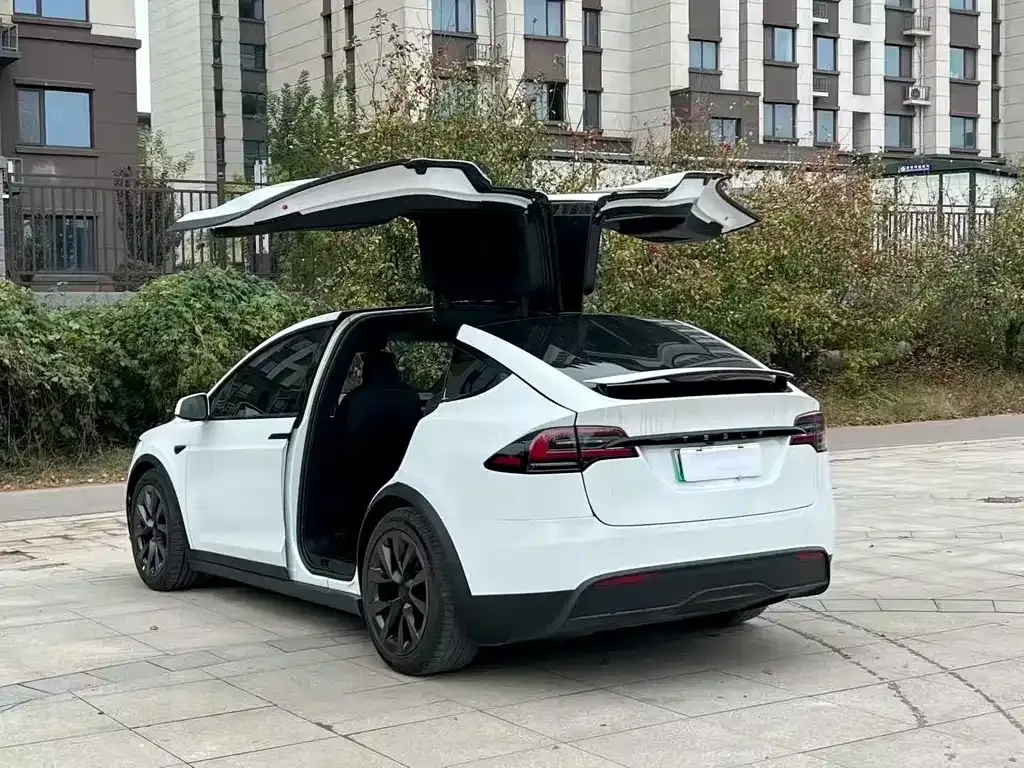 Tesla Model X 2023 из CN, фото 9