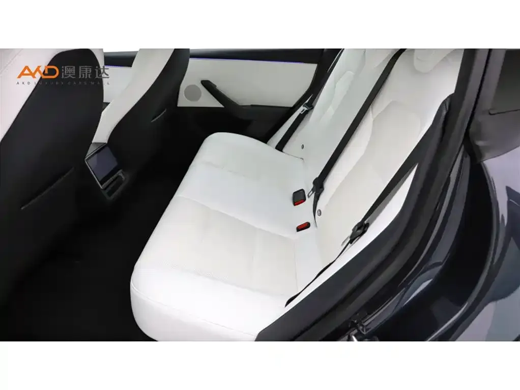 Tesla Model 3 2024 из CN, фото 7