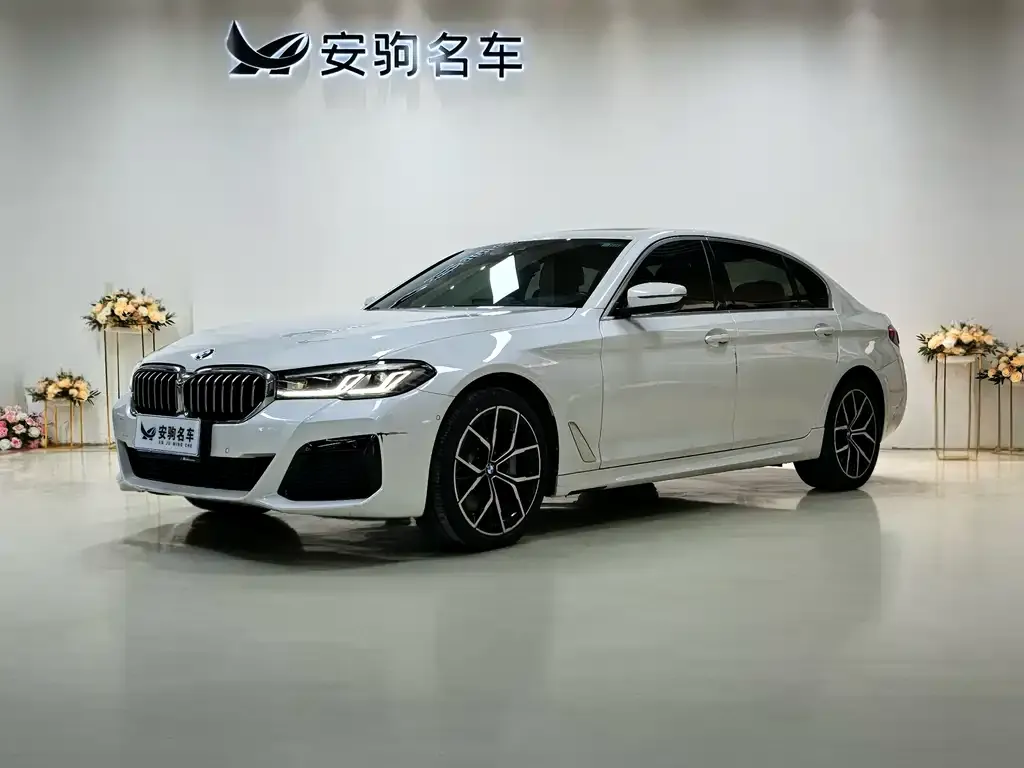 BMW 5 Series 2021 из CN, фото 1