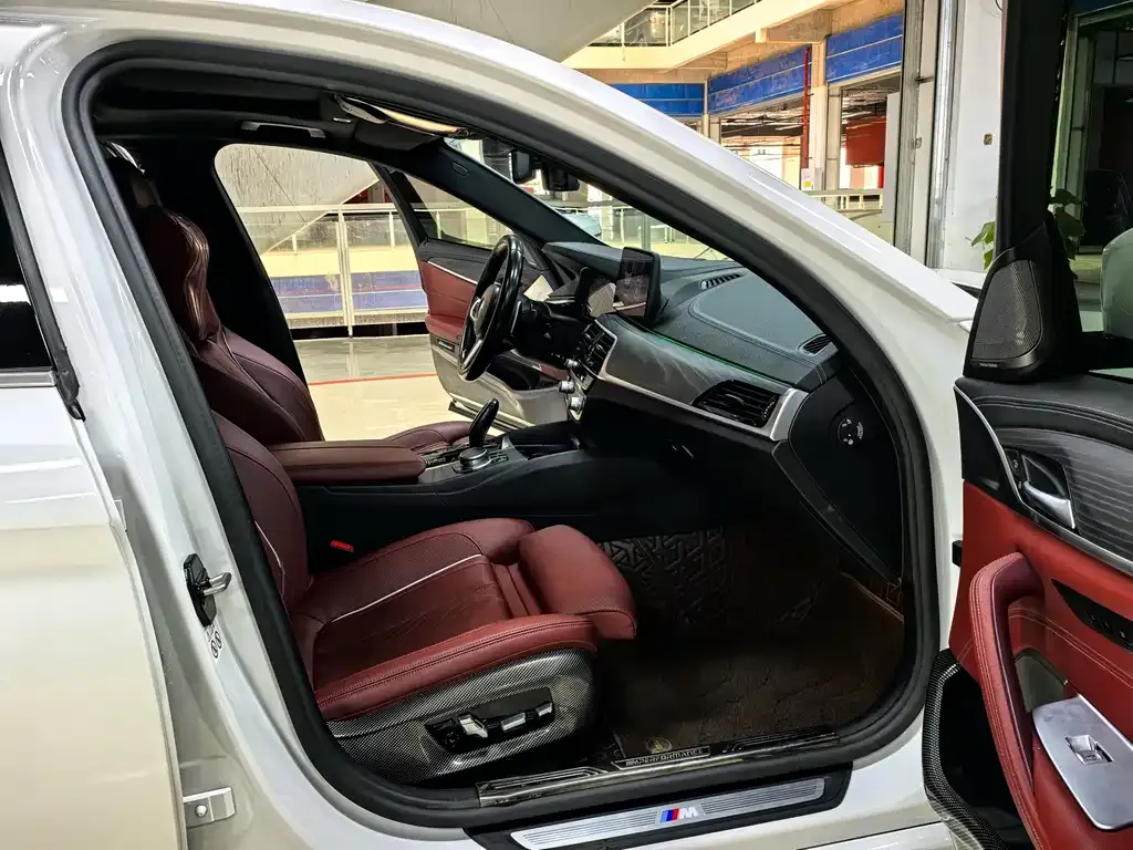 BMW 5 Series 2021 из CN, фото 10