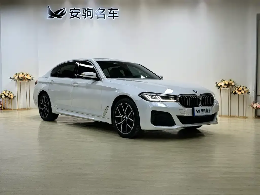 BMW 5 Series 2021 из CN, фото 2