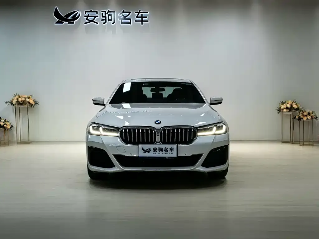 BMW 5 Series 2021 из CN, фото 3