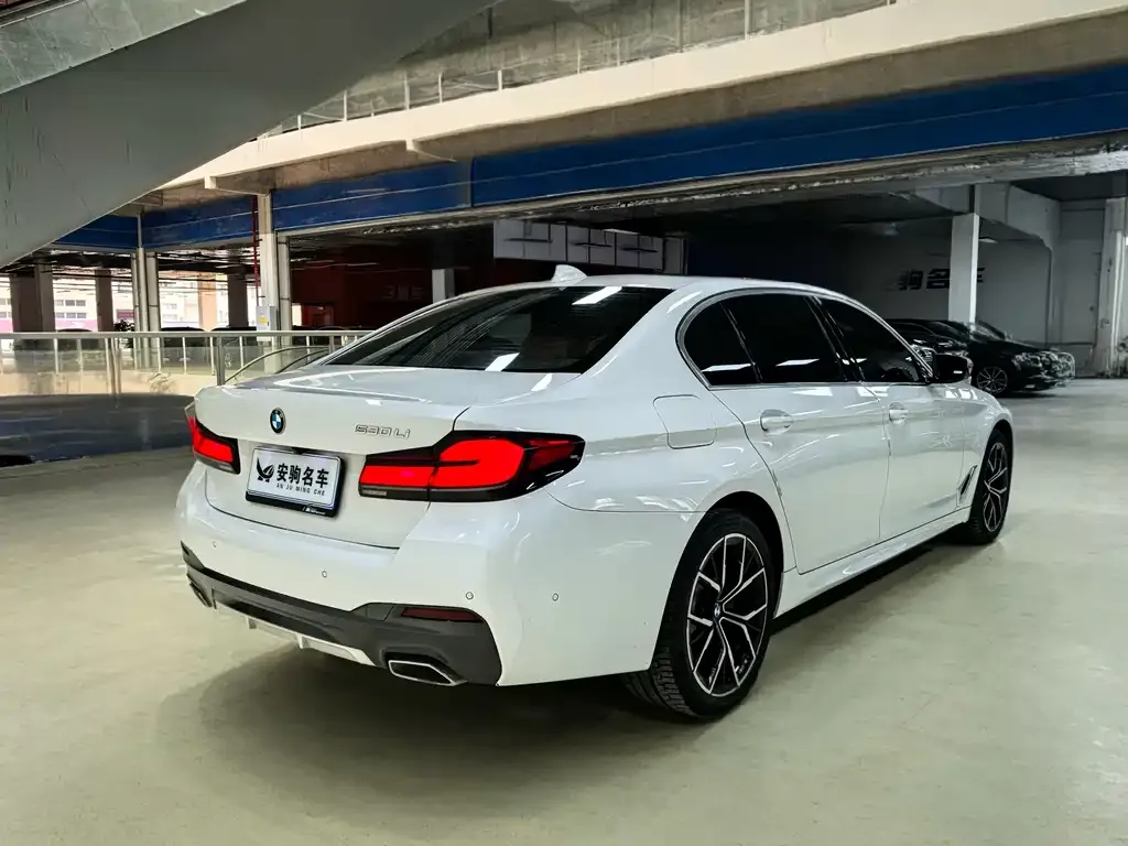 BMW 5 Series 2021 из CN, фото 4