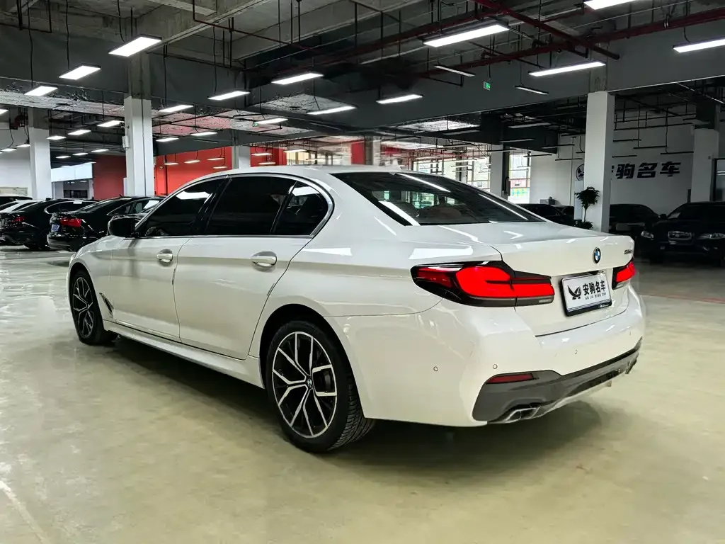 BMW 5 Series 2021 из CN, фото 5