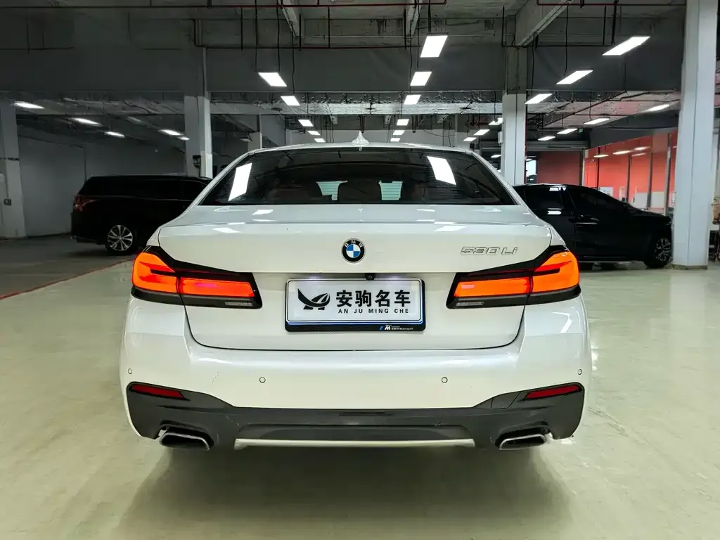 BMW 5 Series 2021 из CN, фото 6