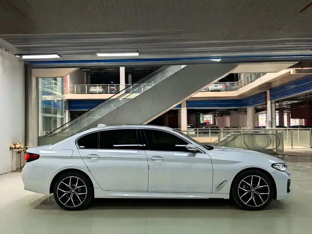 BMW 5 Series 2021 из CN, фото 7