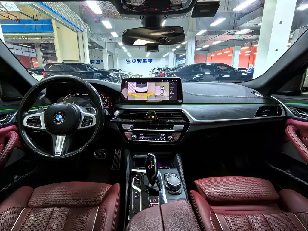 BMW 5 Series 2021 из CN, фото 8
