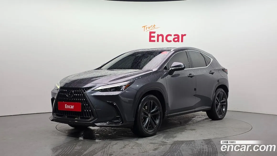 Lexus NX 2024 из KR, фото 1