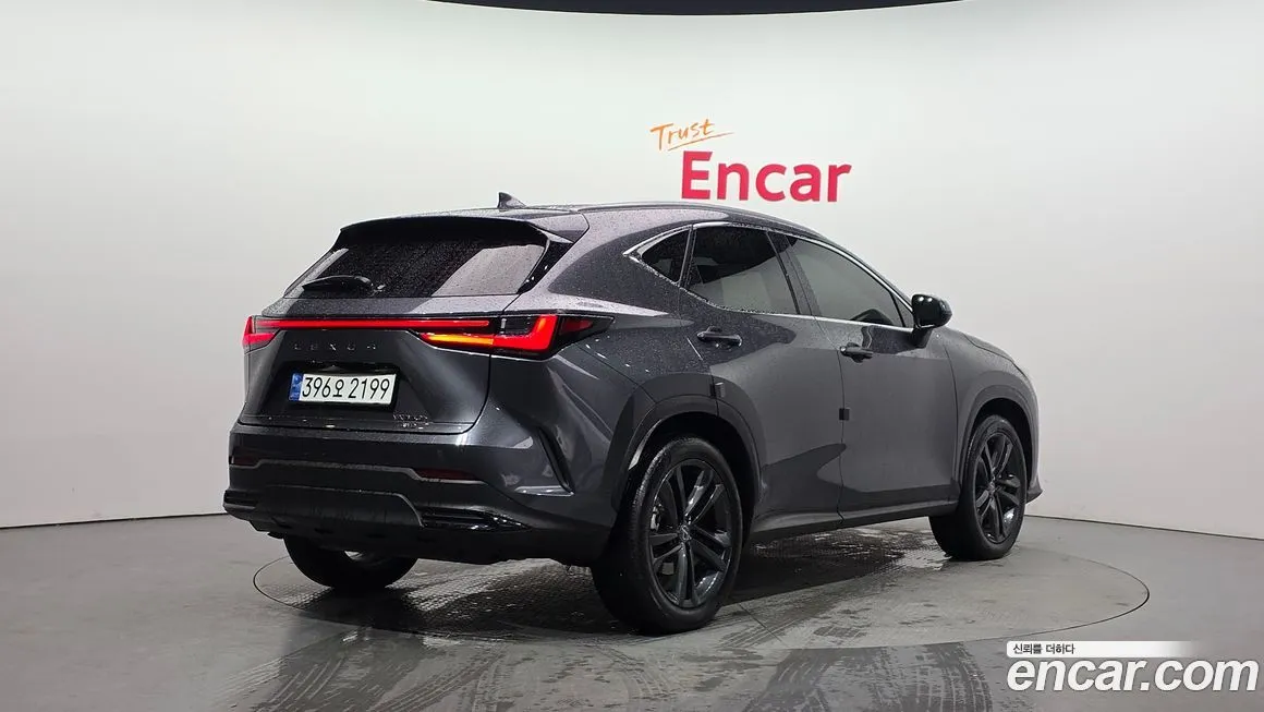 Lexus NX 2024 из KR, фото 2