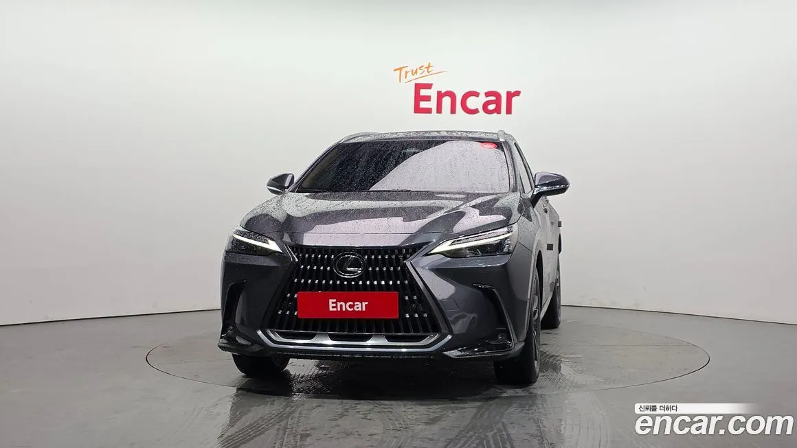 Lexus NX 2024 из KR, фото 3