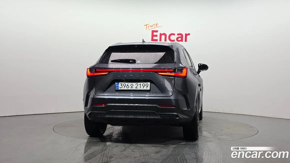 Lexus NX 2024 из KR, фото 4
