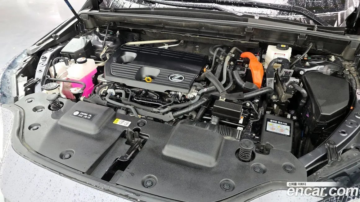Lexus NX 2024 из KR, фото 6