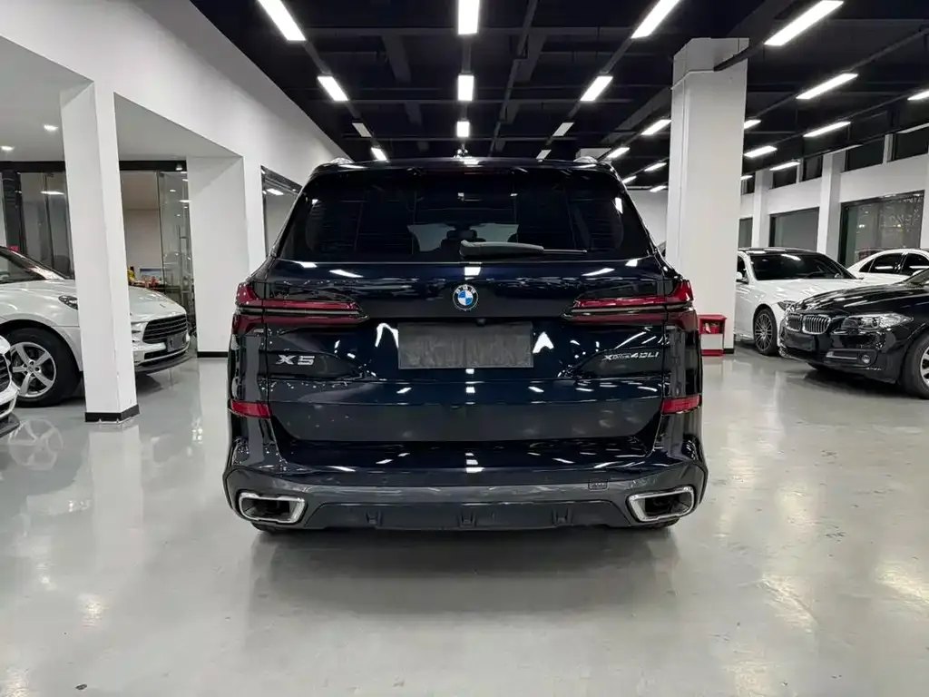 BMW X5 2022 из CN, фото 6