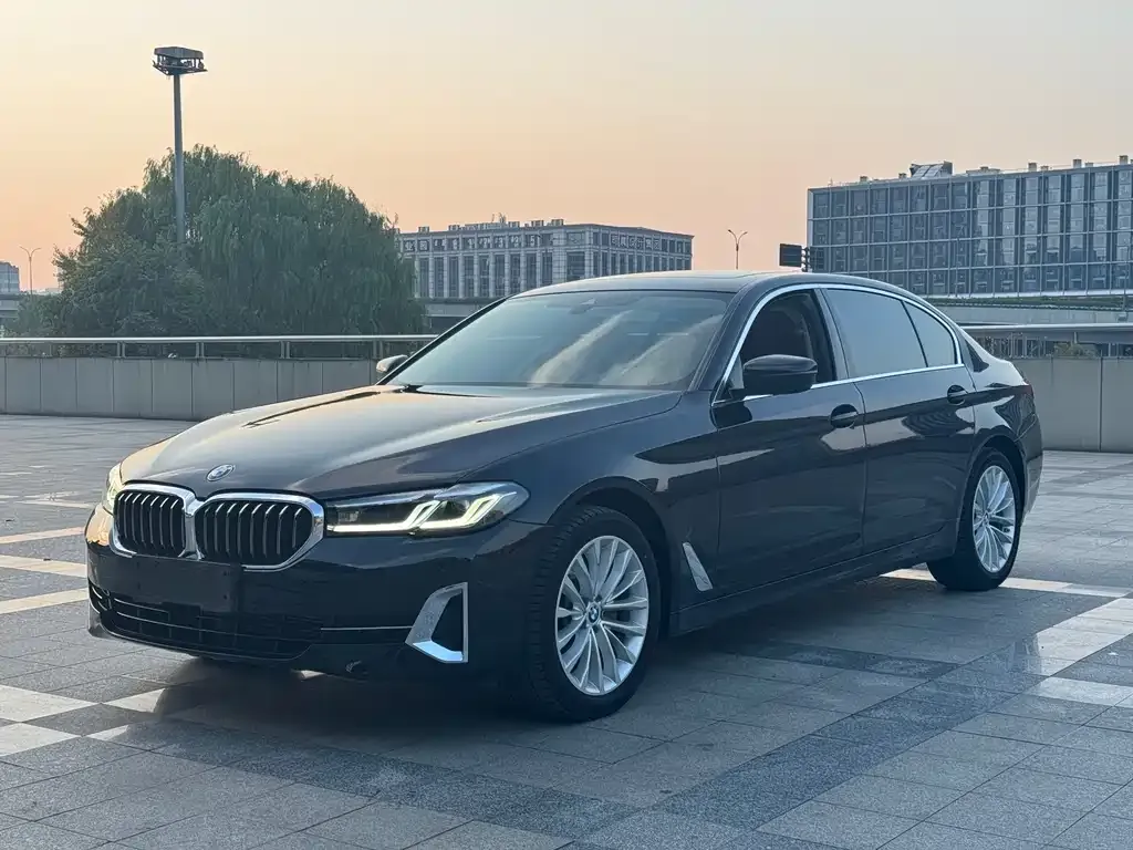 BMW 5 Series 2021 из CN, фото 1