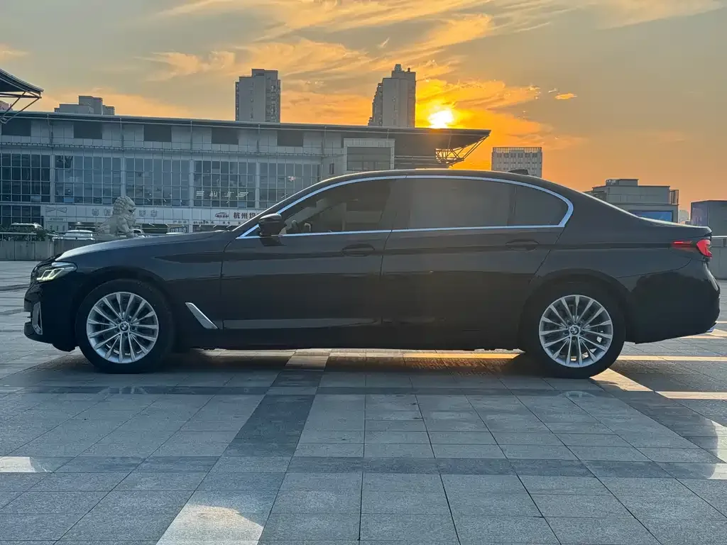 BMW 5 Series 2021 из CN, фото 10