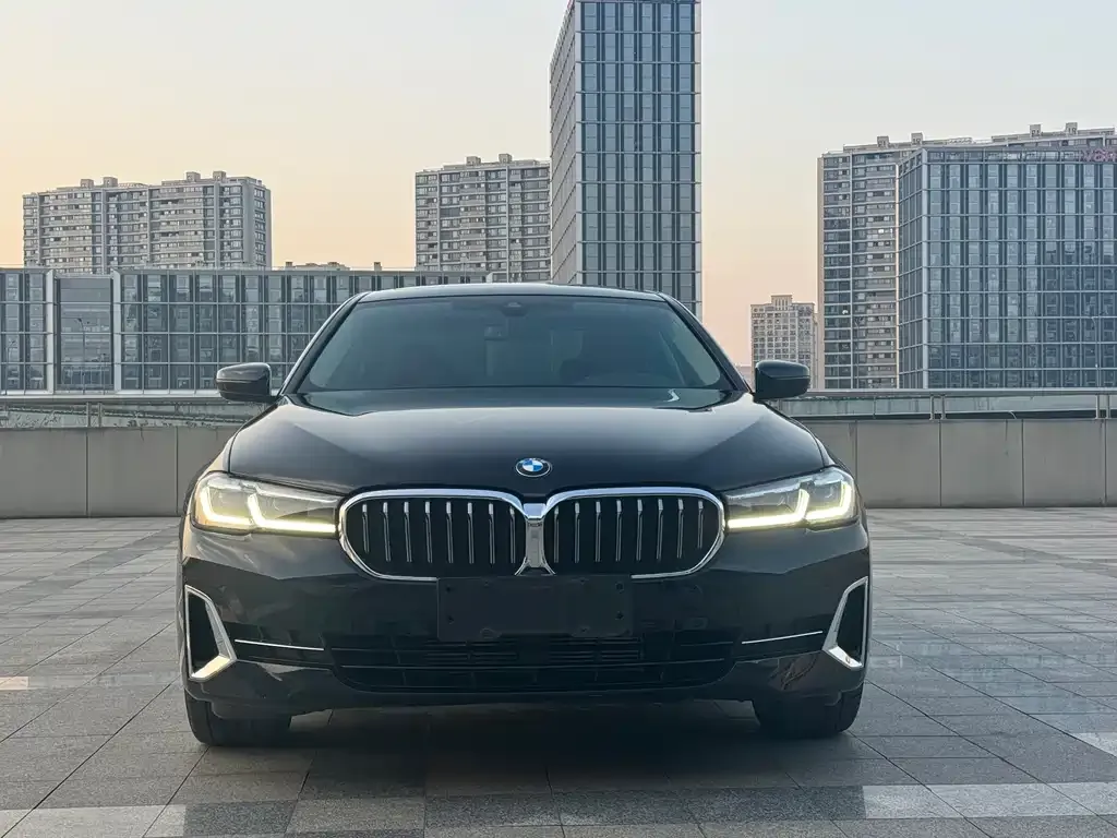 BMW 5 Series 2021 из CN, фото 2