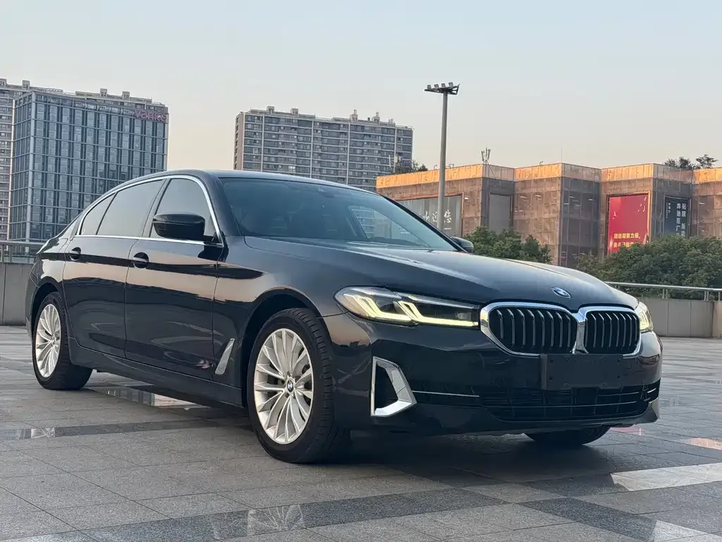 BMW 5 Series 2021 из CN, фото 3