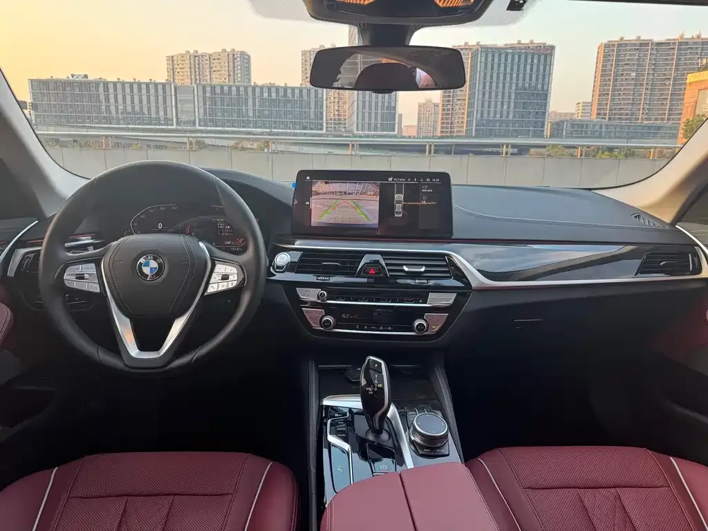 BMW 5 Series 2021 из CN, фото 7