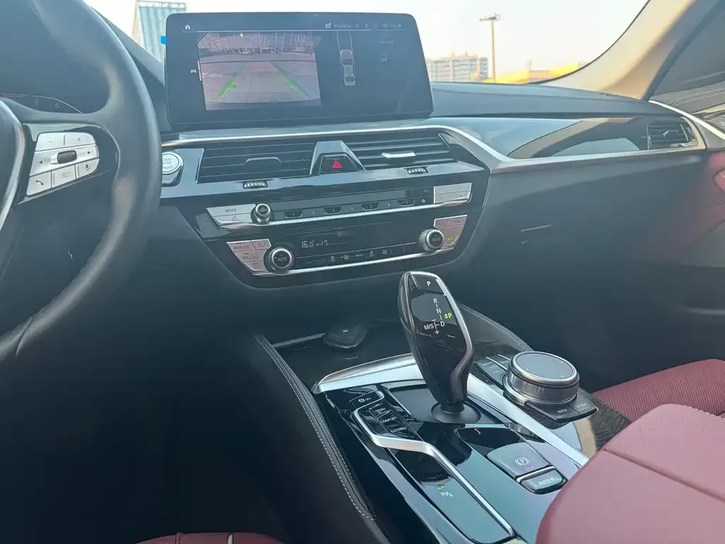 BMW 5 Series 2021 из CN, фото 8