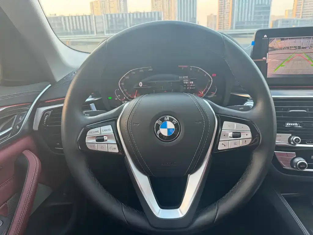 BMW 5 Series 2021 из CN, фото 9
