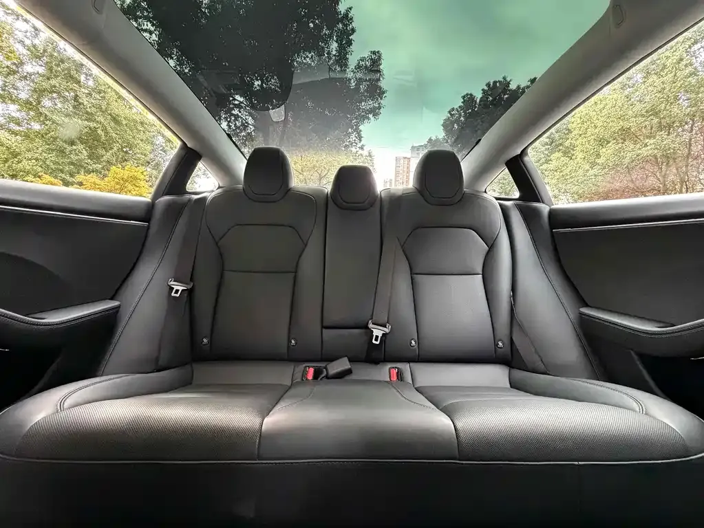 Tesla Model 3 2024 из CN, фото 9