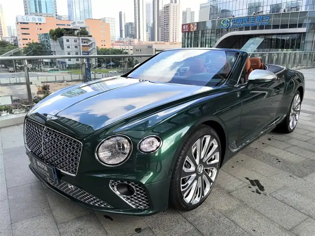 [object Object] Continental 2022 из CN, фото 5