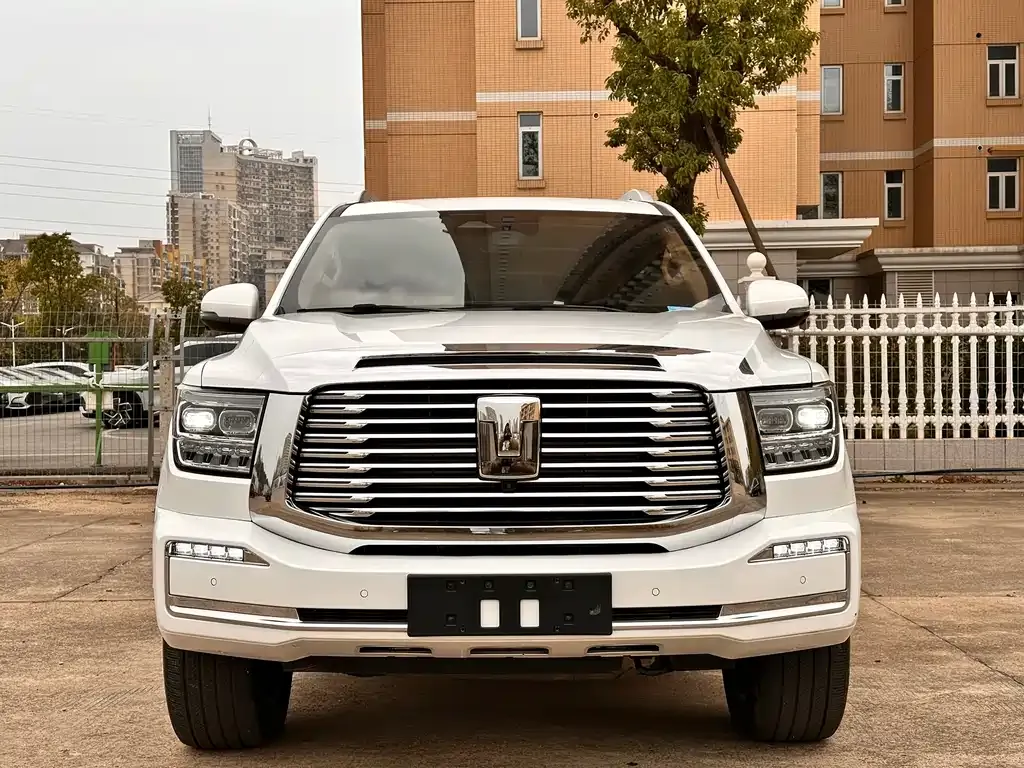 Tank 500 New Energy 2023 из CN, фото 2