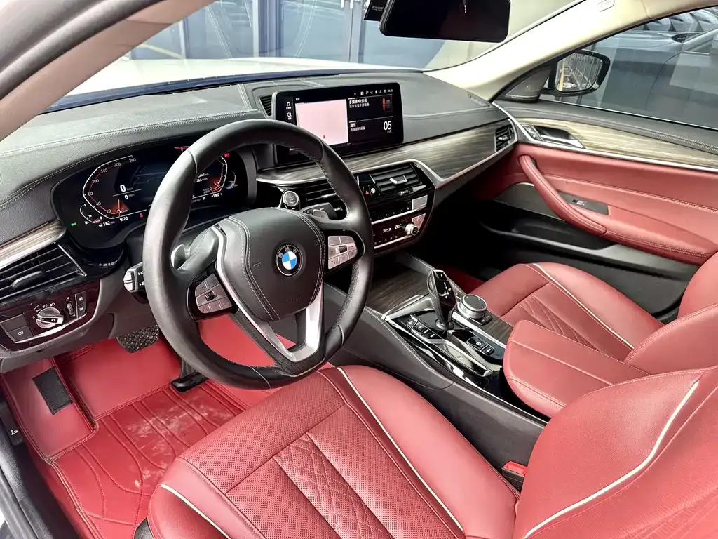 BMW 5 Series 2022 из CN, фото 7
