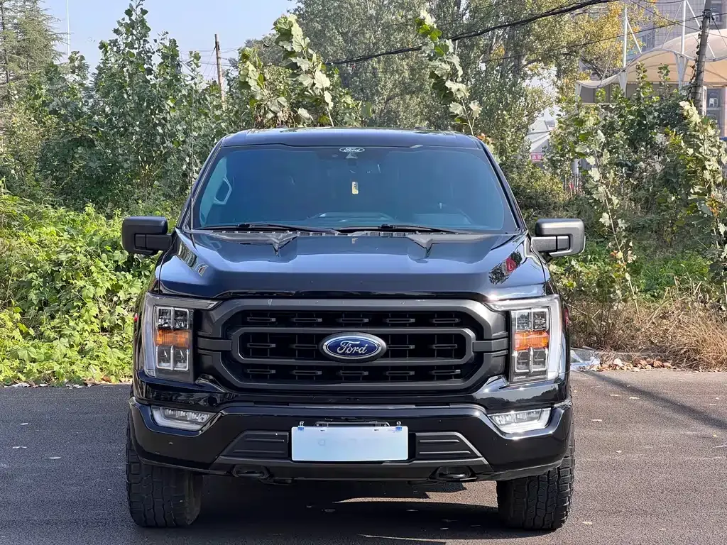 Ford F-150 Raptor 2022 из CN, фото 2