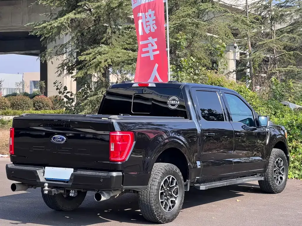 Ford F-150 Raptor 2022 из CN, фото 9