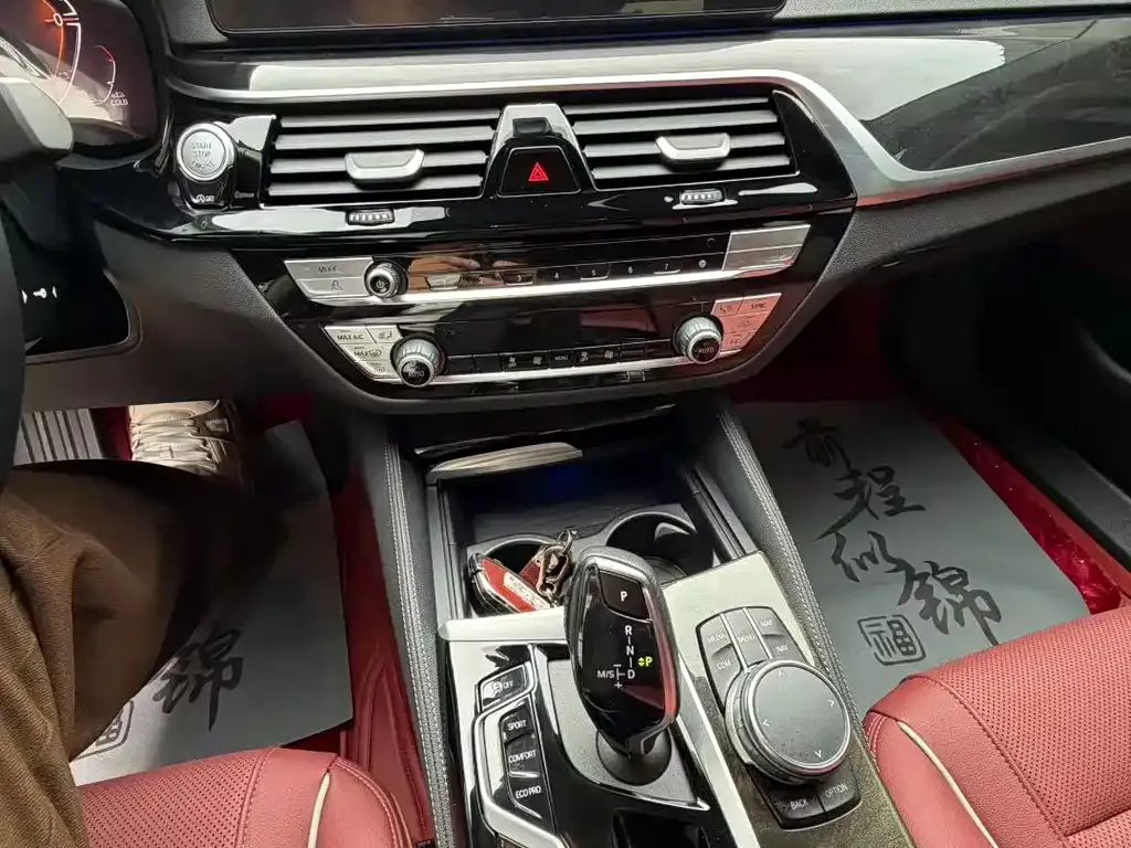 BMW 5 Series 2023 из CN, фото 5