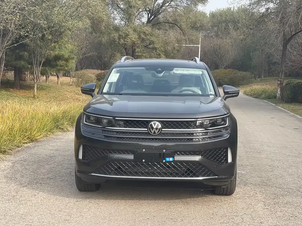 Volkswagen Tavendor 2025 из CN, фото 2