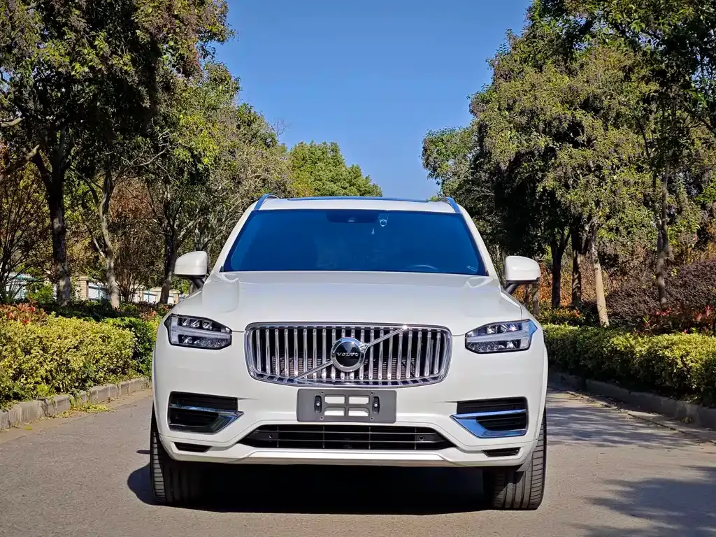Volvo XC90 2023 из CN, фото 2