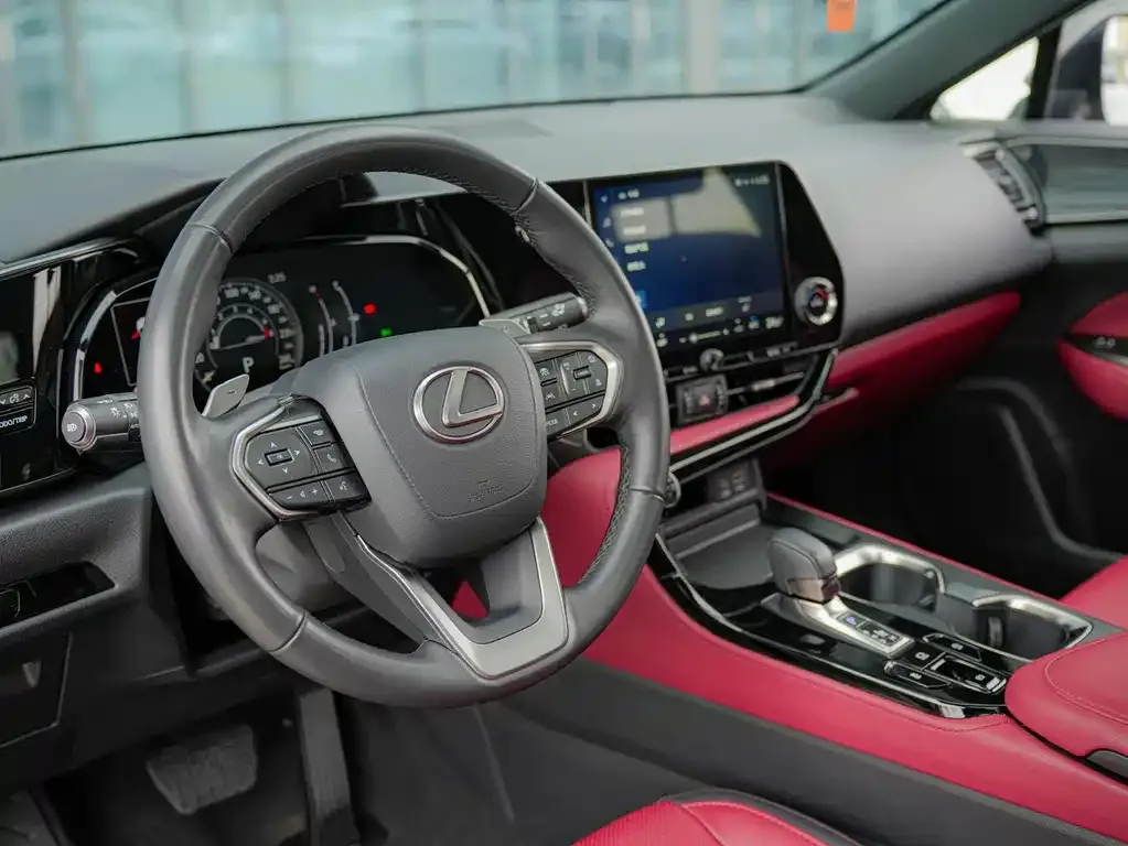 Lexus NX 2023 из CN, фото 9