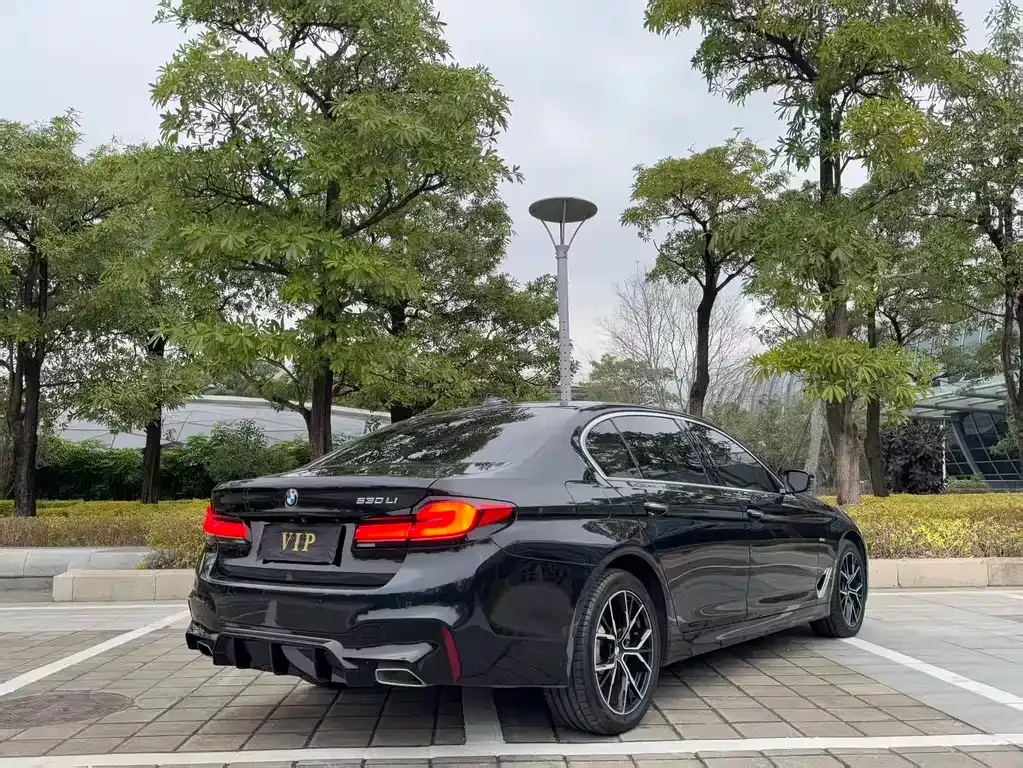 BMW 5 Series 2022 из CN, фото 4