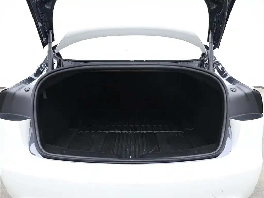 Tesla Model 3 2025 из CN, фото 6
