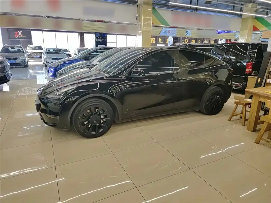 Tesla Model Y 2021 из CN, фото 5