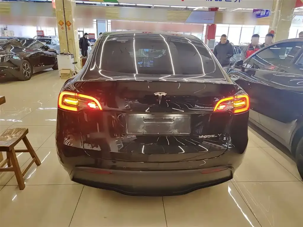 Tesla Model Y 2021 из CN, фото 6