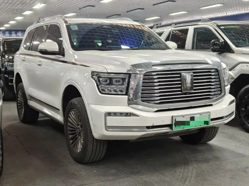 Tank 500 New Energy 2023 из CN, фото 3