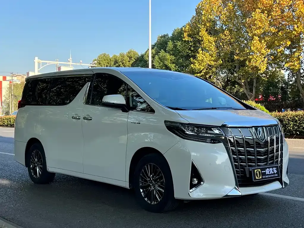 Toyota Alphard 2021 из CN, фото 7