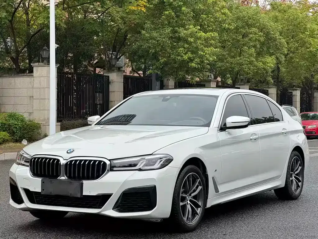 BMW 5 Series 2021 из CN, фото 1