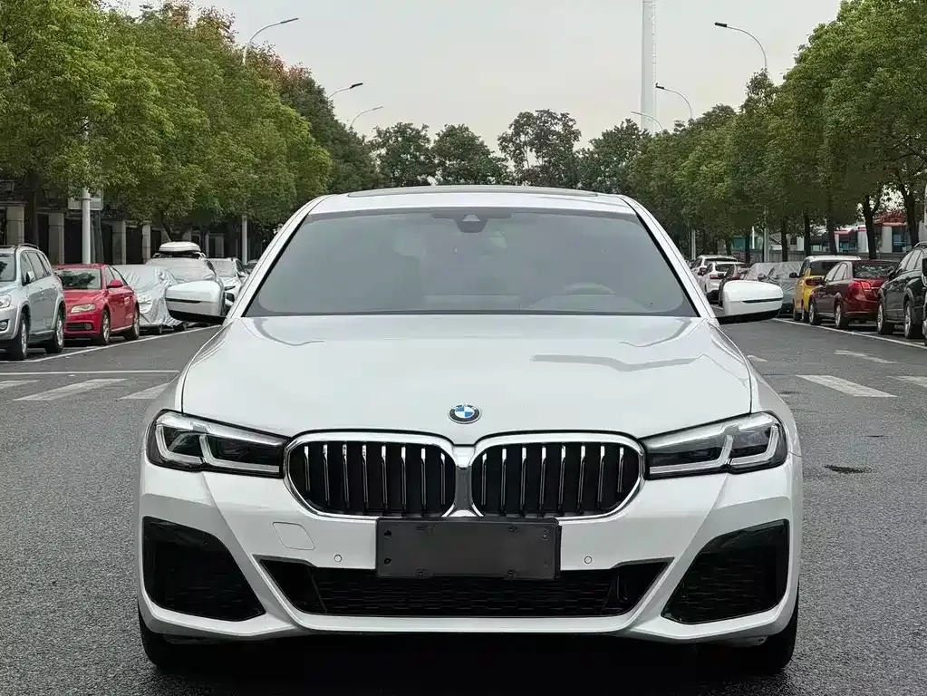 BMW 5 Series 2021 из CN, фото 2