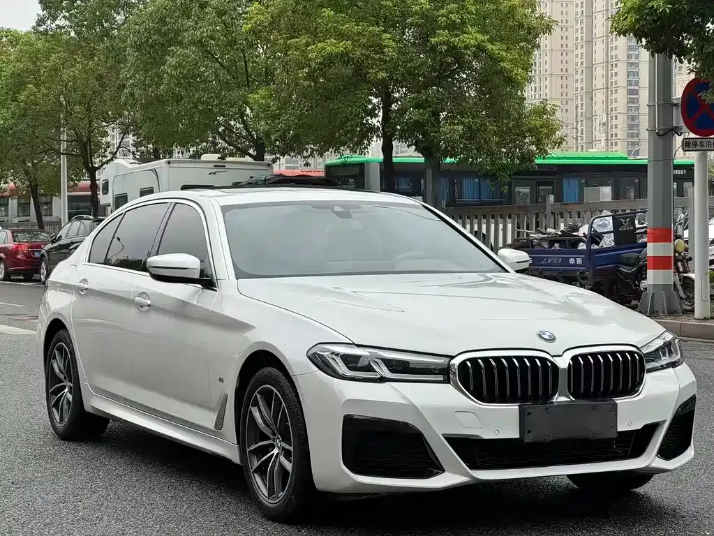 BMW 5 Series 2021 из CN, фото 3