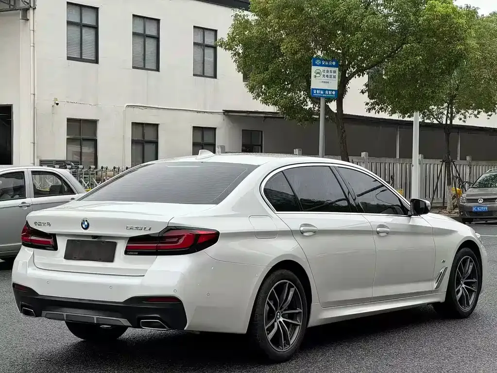 BMW 5 Series 2021 из CN, фото 4